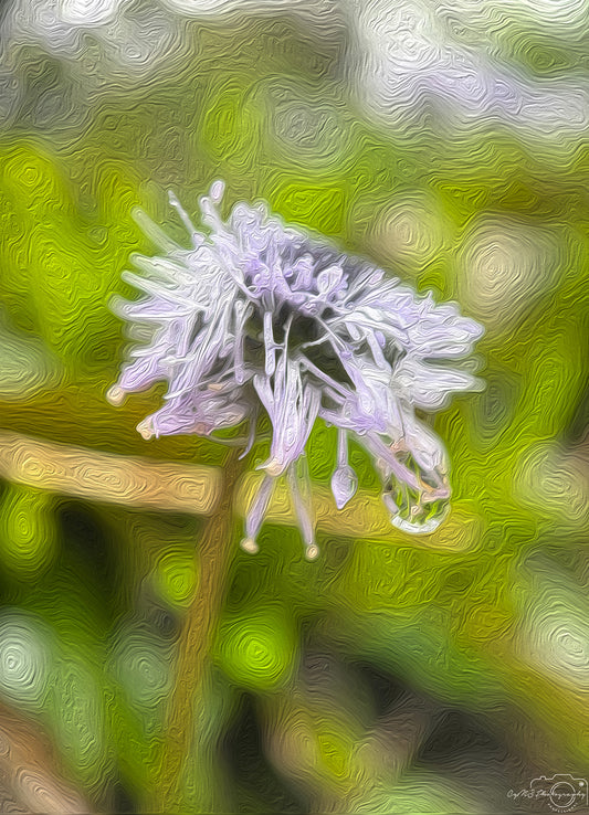 Digital Oil Painting - Superb Droplet V468