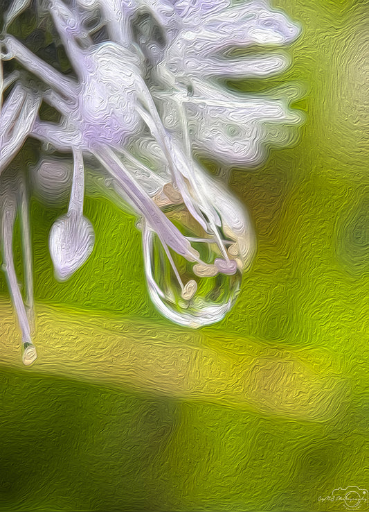 Digital Oil Painting - Superb Droplet V469