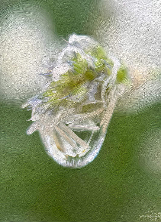 Digital Oil Painting - Superb Droplet V471