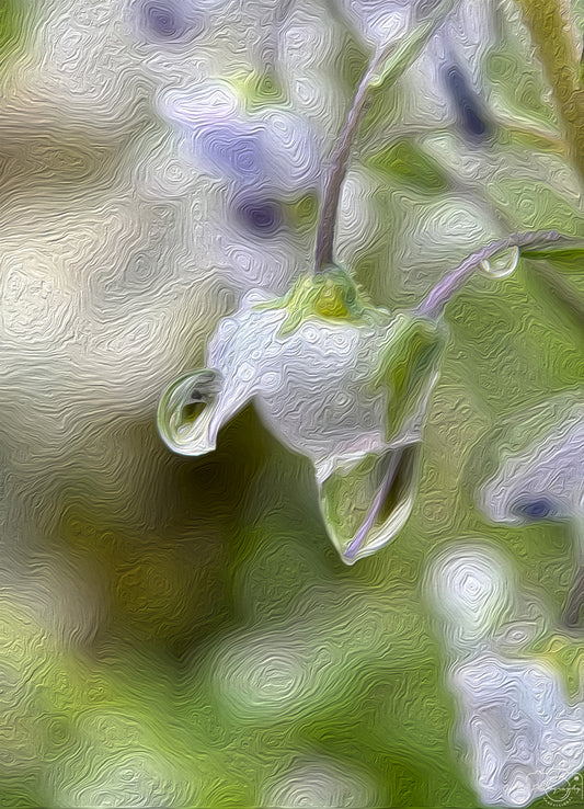 Beautiful water drop_V474_oil painting