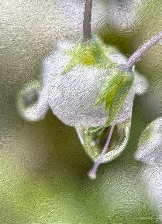 Beautiful water drop_V475_oil painting