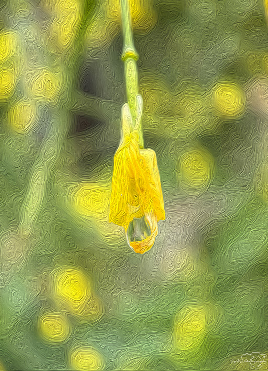 Beautiful water drop_V476_oil painting
