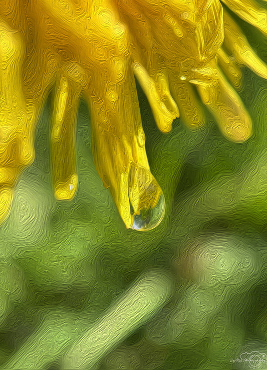 Beautiful water drop_V478_oil painting