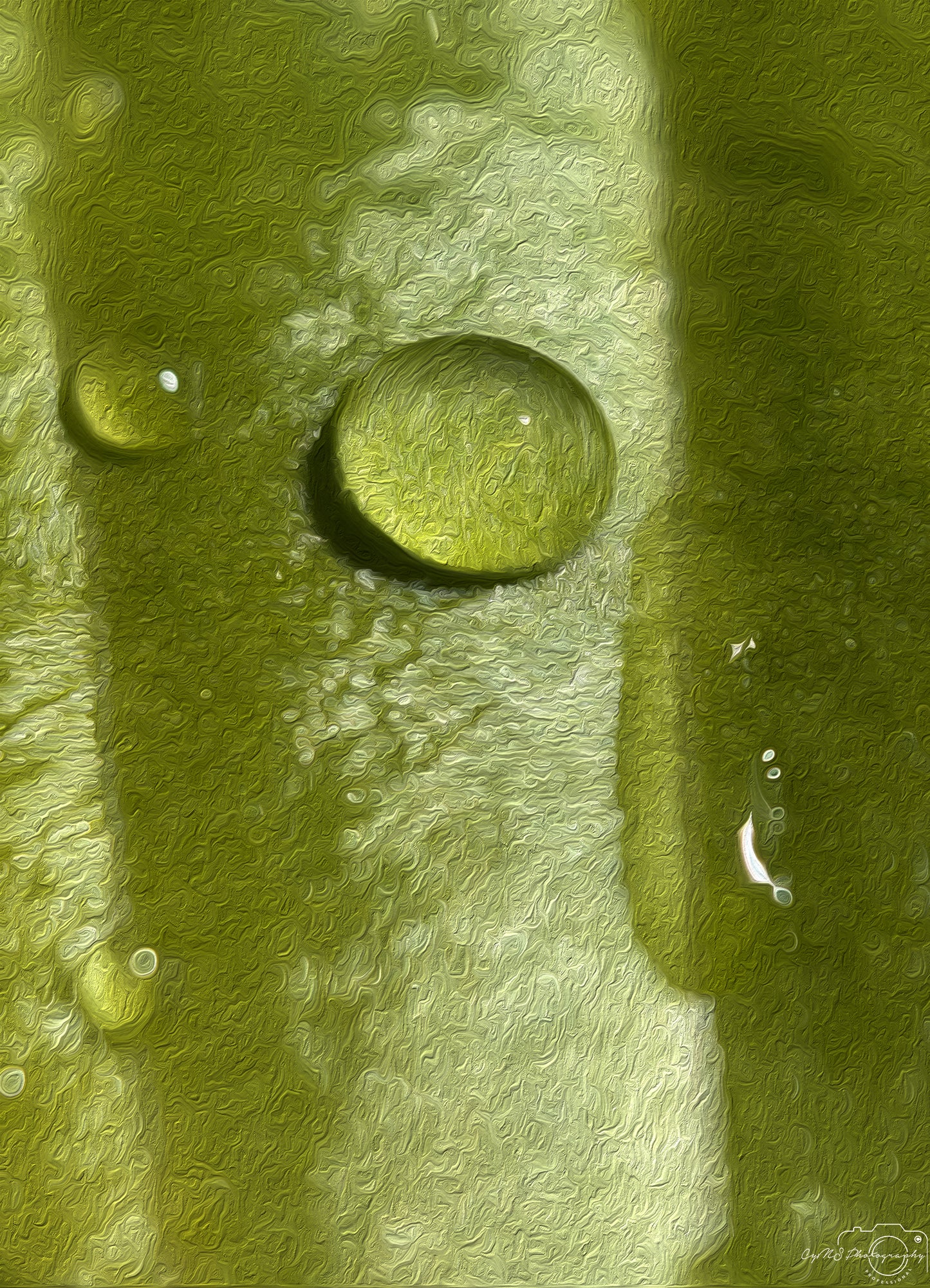 Digital Oil Painting - Superb Droplet V481