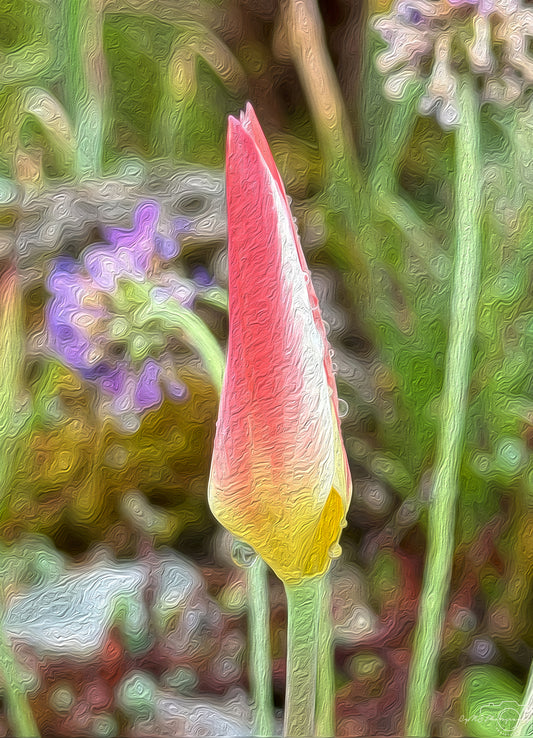 Beautiful water drop_V492_oil painting