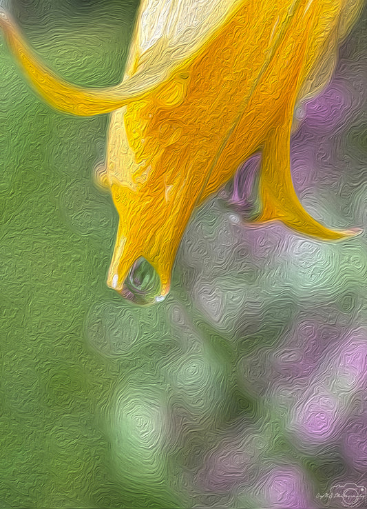 Beautiful water drop_V494_oil painting