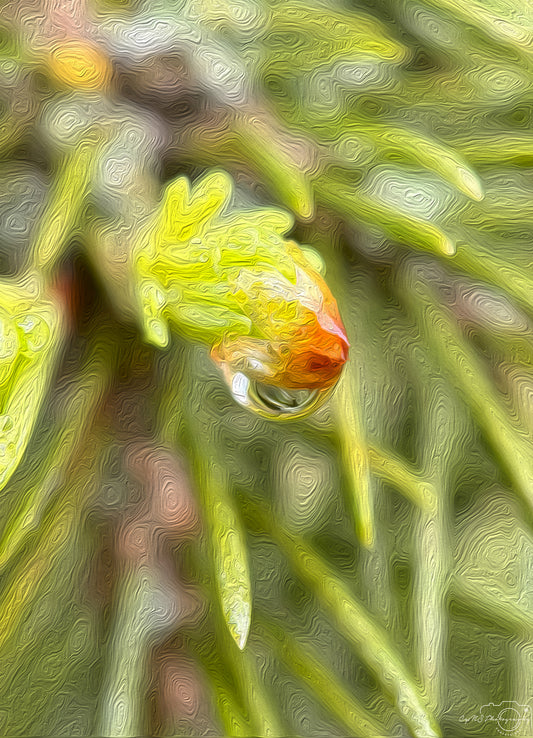 Beautiful water drop_V499_oil painting