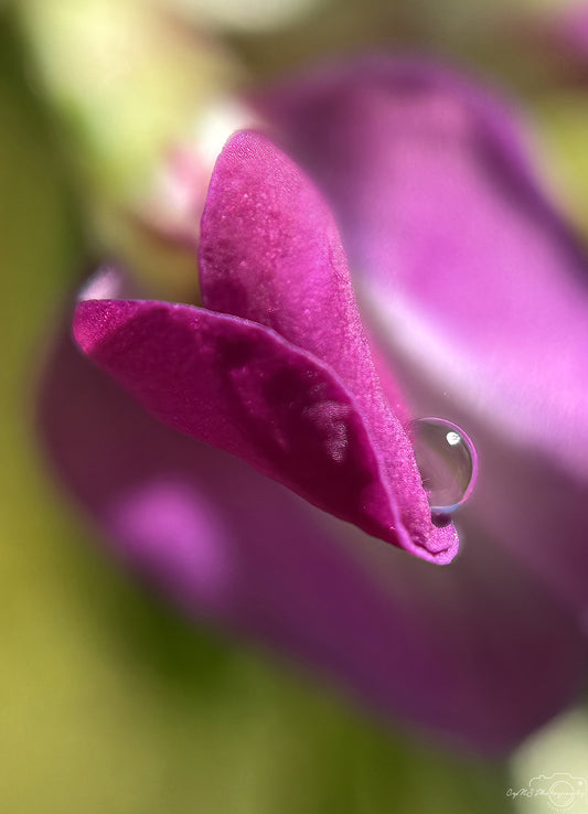 Schöner Wassertropfen_V502