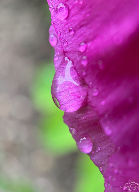 Schöner Wassertropfen_V503