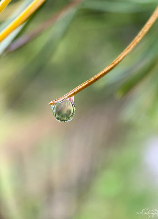 Schöner Wassertropfen_V512