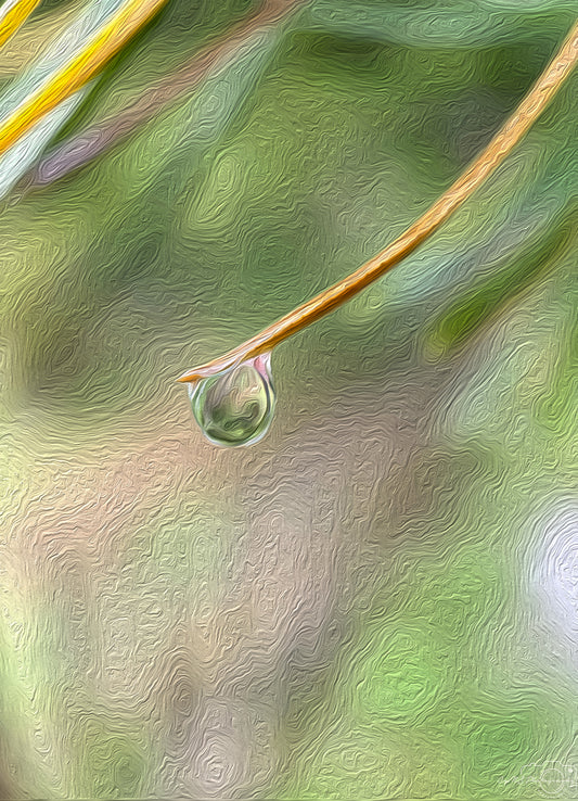 Digital Oil Painting - Superb Droplet V512