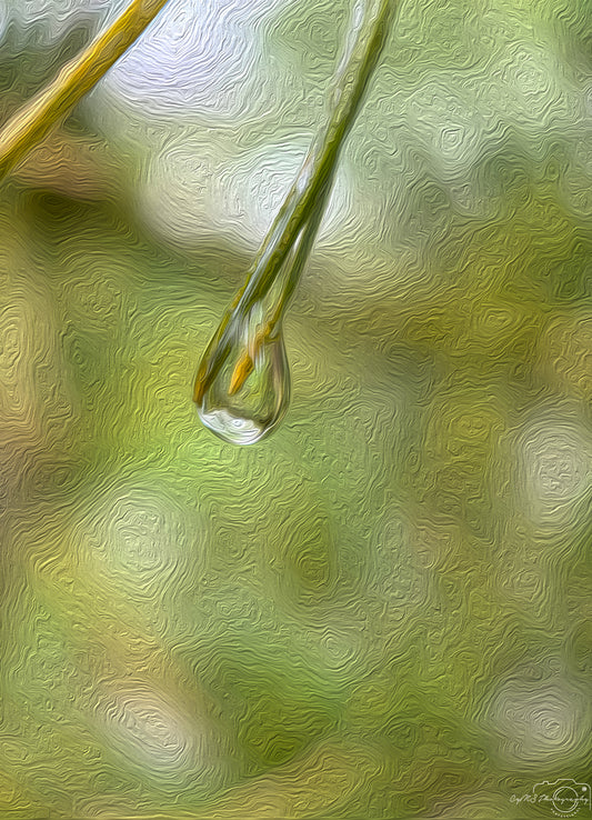 Digital Oil Painting - Superb Droplet V514