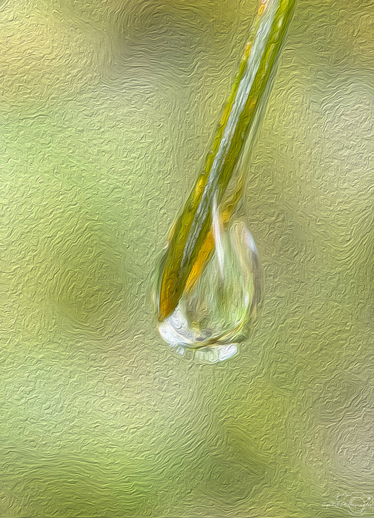 Digital Oil Painting - Superb Droplet V515