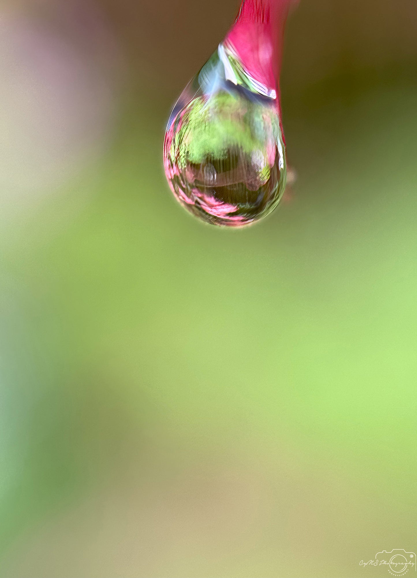 Belle goutte d'eau_V517