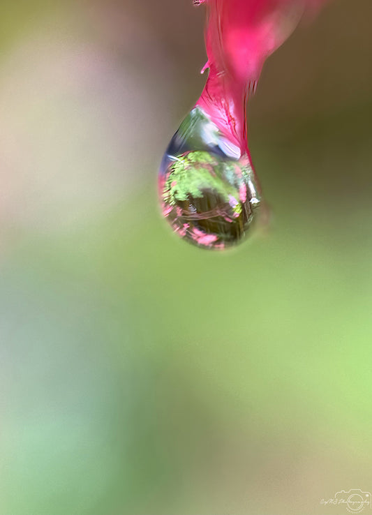 Schöner Wassertropfen_V518