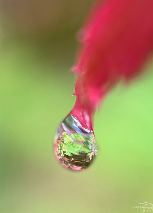 Schöner Wassertropfen_V519