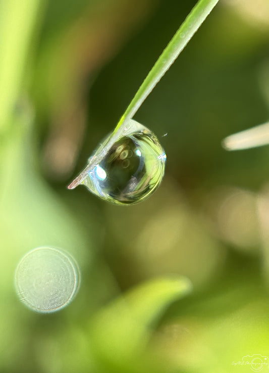 Schöner Wassertropfen_V522