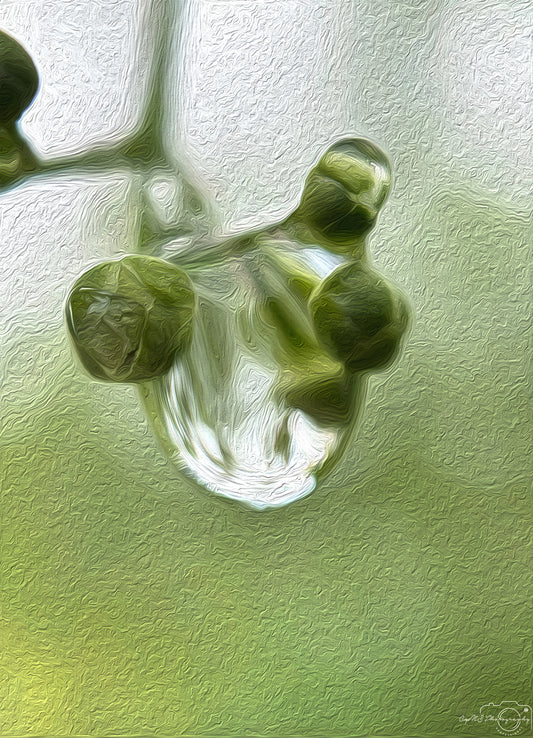 Digital Oil Painting - Superb Droplet V523
