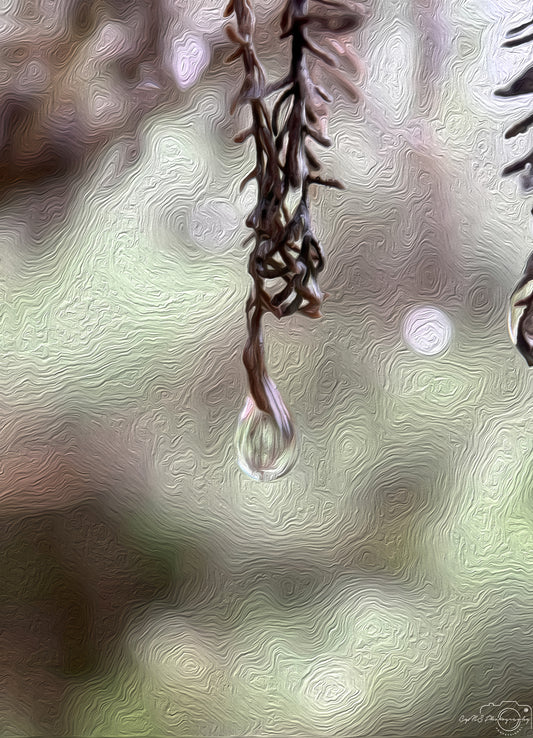 Digital Oil Painting - Superb Droplet V524