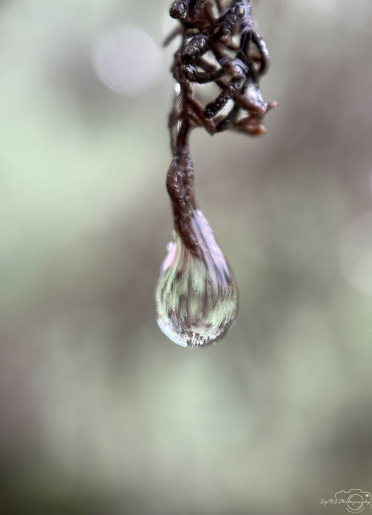 Schöner Wassertropfen_V525