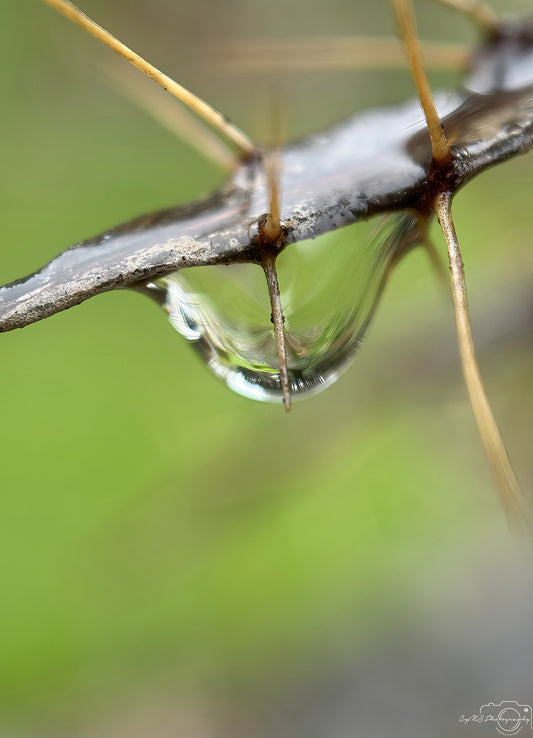 Schöner Wassertropfen_V527