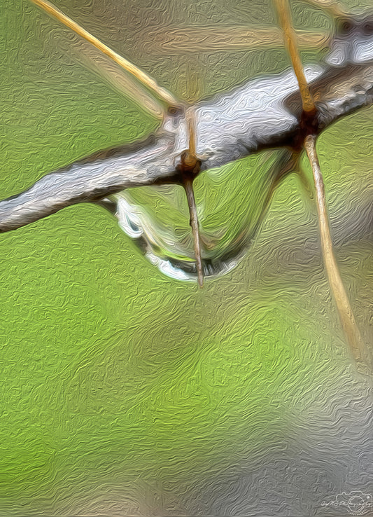 Digital Oil Painting - Superb Droplet V527