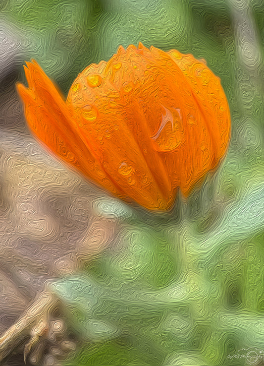 Digital Oil Painting - Superb Droplet V528