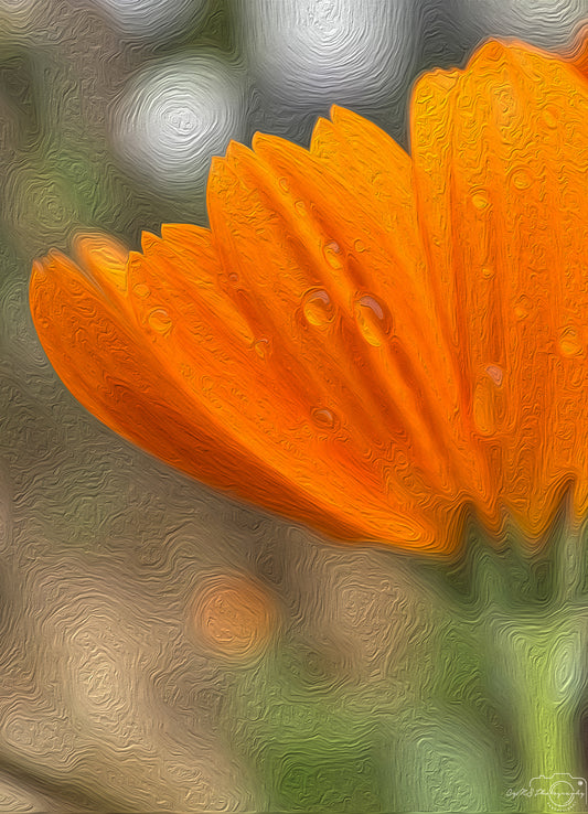 Digital Oil Painting - Superb Droplet V529