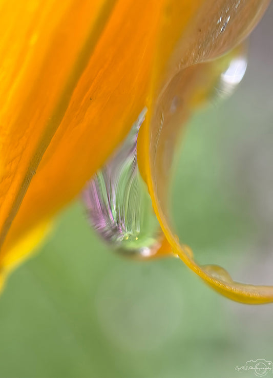 Schöner Wassertropfen_V530
