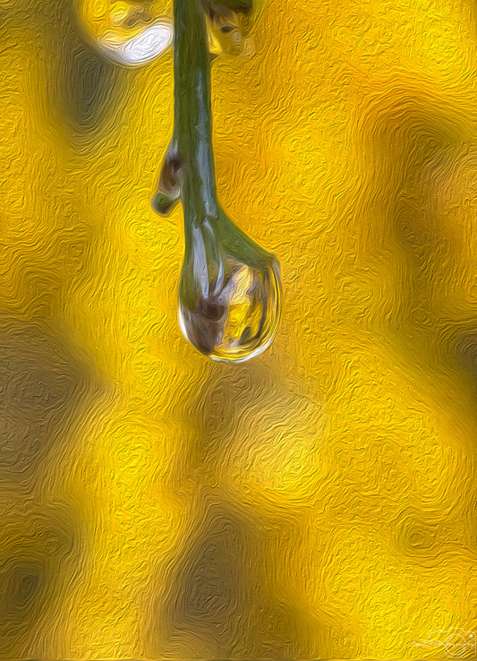 Digital Oil Painting - Superb Droplet V531