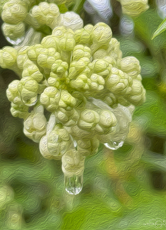 Digital Oil Painting - Superb Droplet V532