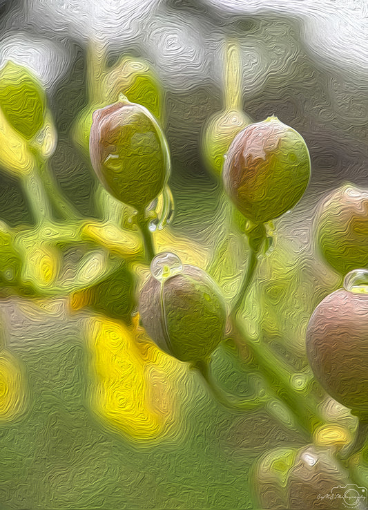 Digital Oil Painting - Superb Droplet V534