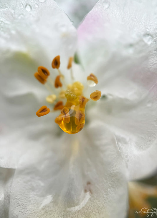Schöner Wassertropfen_V536