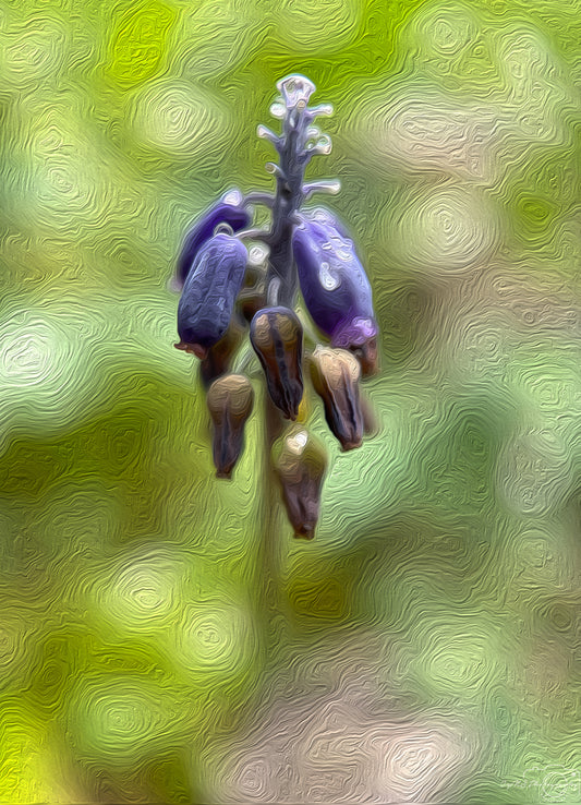 Digital Oil Painting - Superb Droplet V538