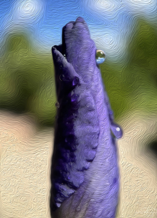 Digital Oil Painting - Superb Droplet V539