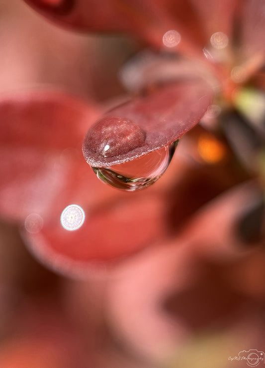 Schöner Wassertropfen_V541