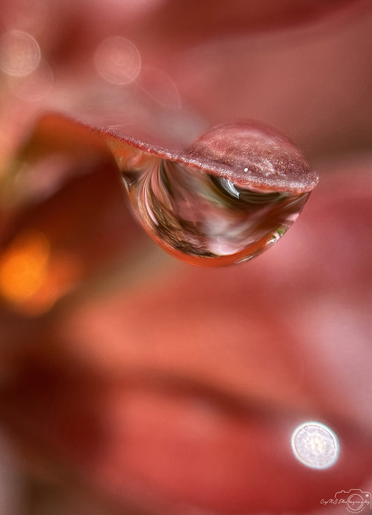 Schöner Wassertropfen_V542