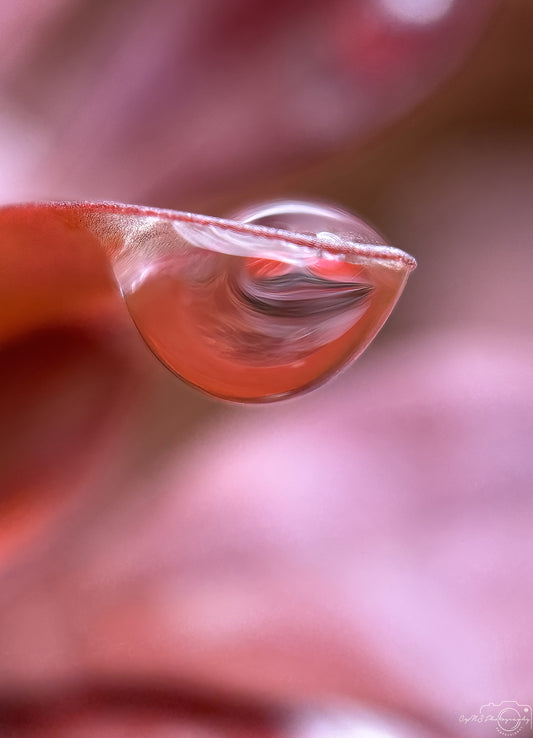 Schöner Wassertropfen_V543