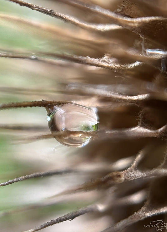 Schöner Wassertropfen_V545