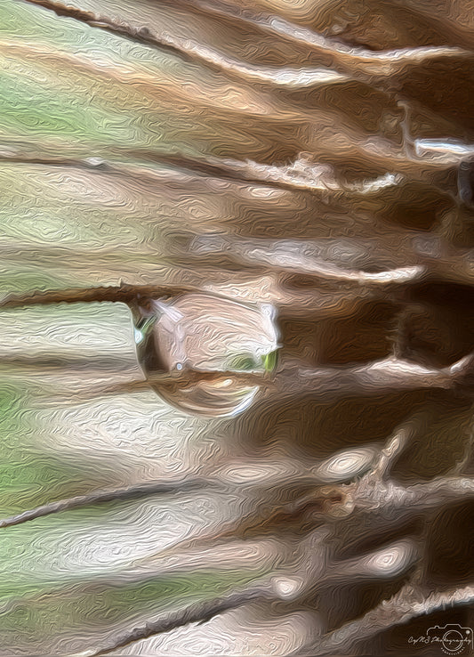 Beautiful water drop_V545_oil painting