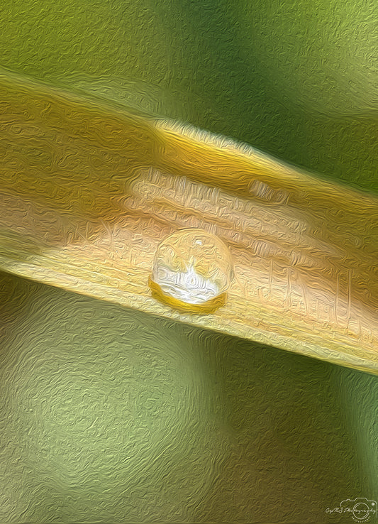 Beautiful water drop_V548_oil painting