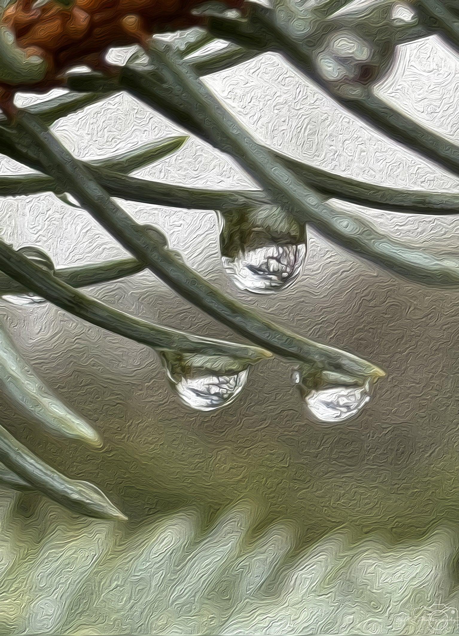 Beautiful water drop_V054_oil painting - Superbpictures