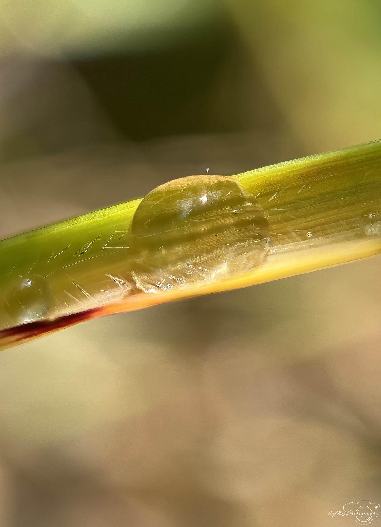 Beautiful water drop_V550
