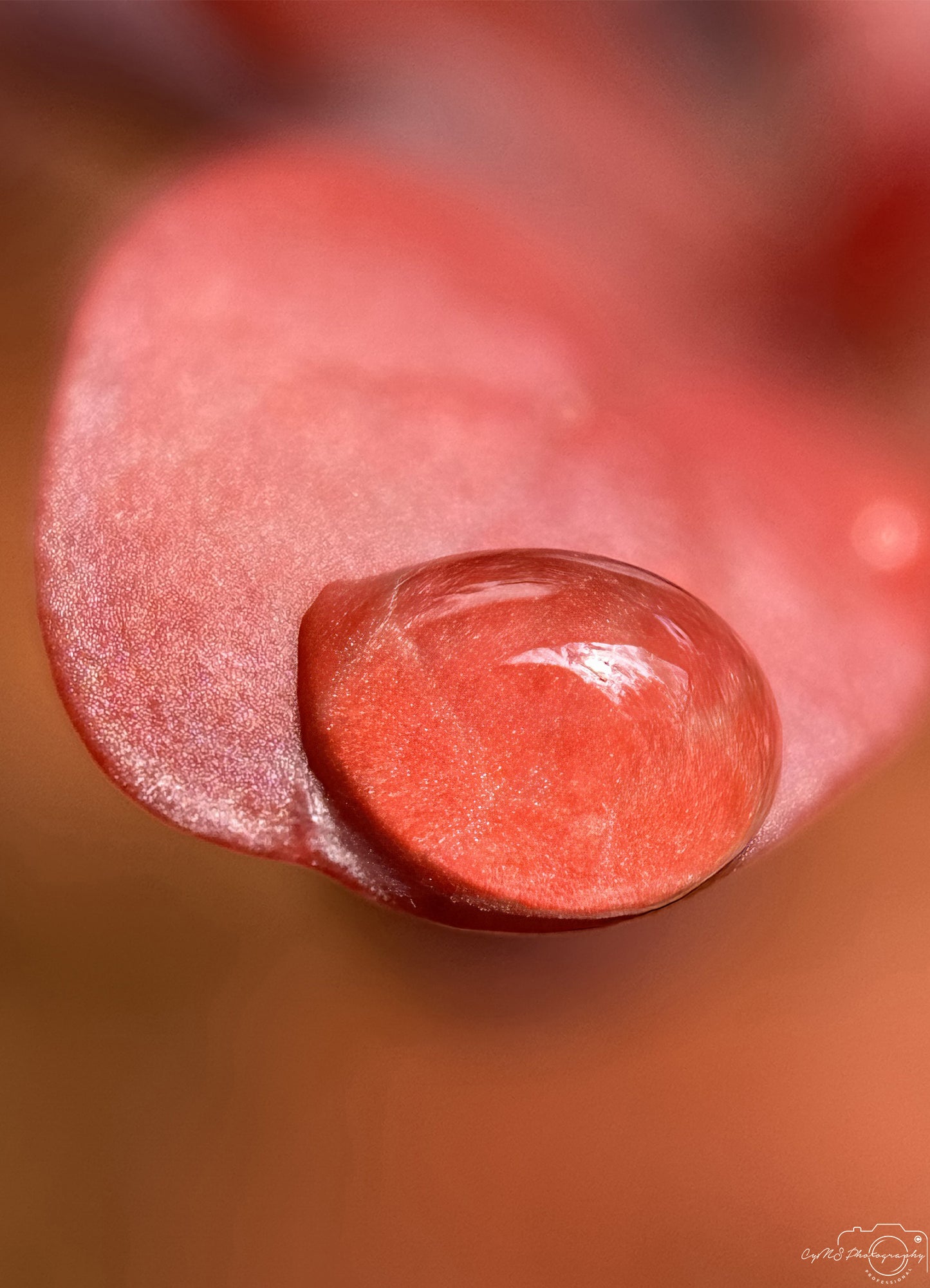 Beautiful water drop_V555