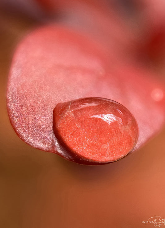 Schöner Wassertropfen_V555
