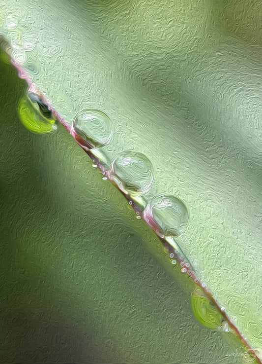 Beautiful water drop_V557_oil painting