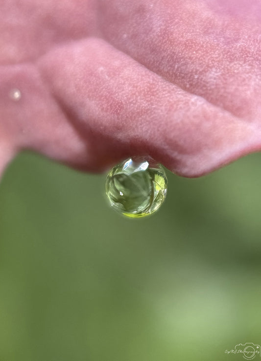 Schöner Wassertropfen_V560