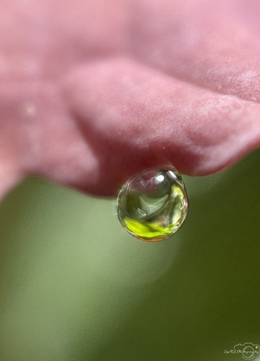 Schöner Wassertropfen_V561