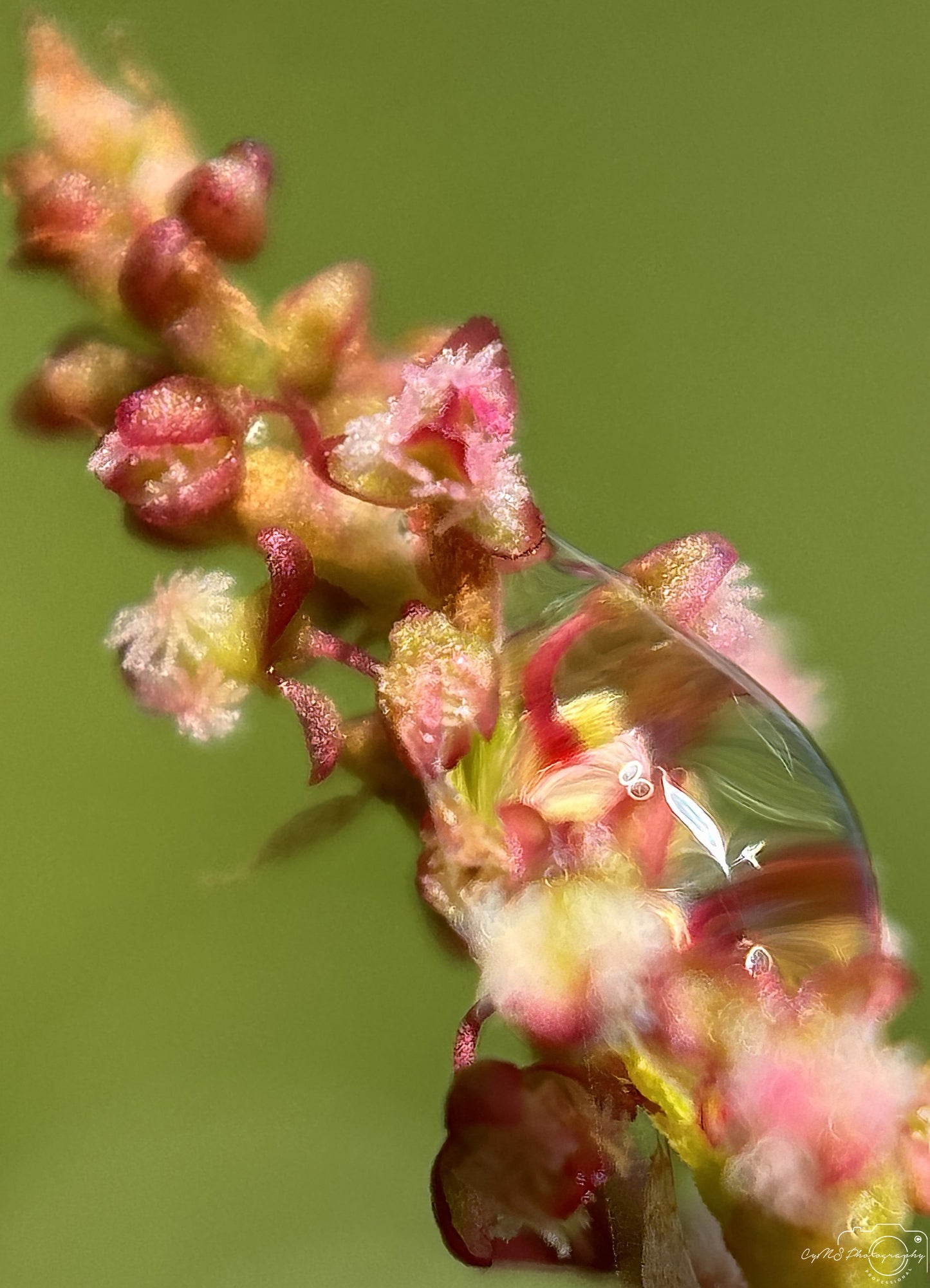 Beautiful water drop_V563