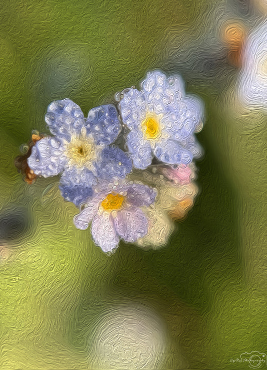 Digital Oil Painting - Superb Droplet V566